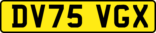 DV75VGX
