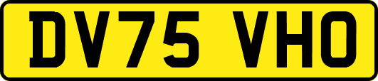 DV75VHO