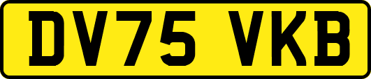 DV75VKB