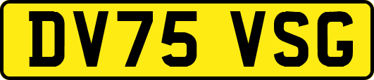 DV75VSG