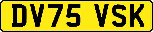 DV75VSK