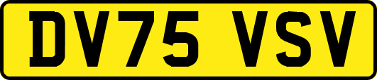 DV75VSV