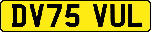 DV75VUL