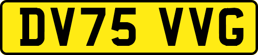 DV75VVG