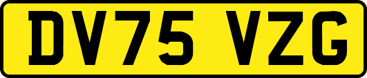 DV75VZG