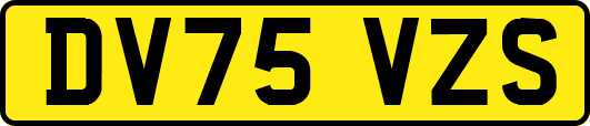 DV75VZS