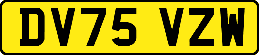 DV75VZW