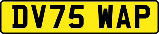 DV75WAP