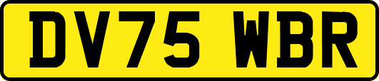 DV75WBR
