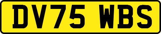 DV75WBS