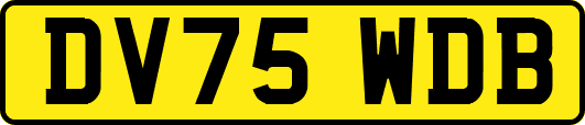 DV75WDB