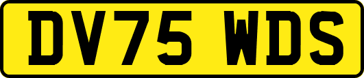 DV75WDS