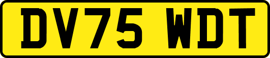 DV75WDT