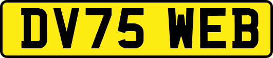 DV75WEB