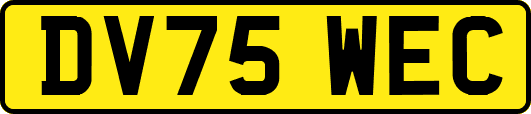 DV75WEC