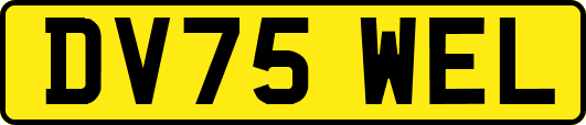 DV75WEL