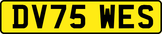 DV75WES