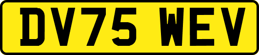 DV75WEV