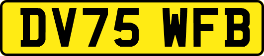 DV75WFB