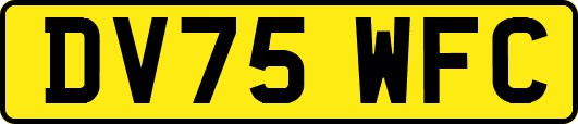 DV75WFC