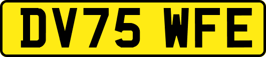 DV75WFE