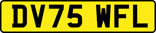 DV75WFL