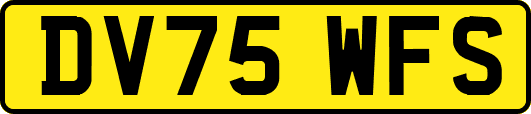 DV75WFS