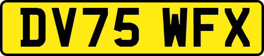 DV75WFX