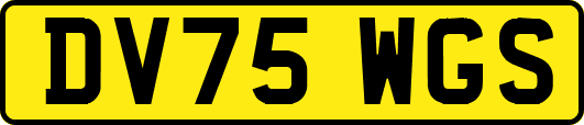 DV75WGS