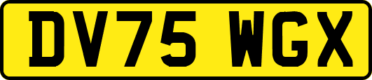 DV75WGX