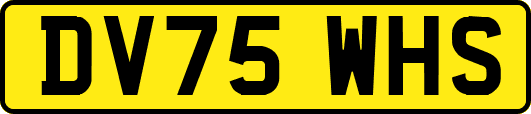 DV75WHS