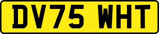 DV75WHT