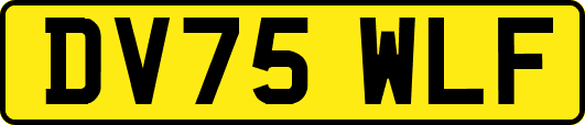 DV75WLF