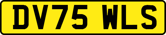 DV75WLS