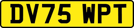 DV75WPT