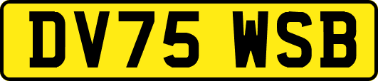 DV75WSB