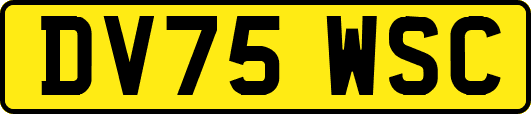 DV75WSC