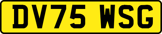 DV75WSG