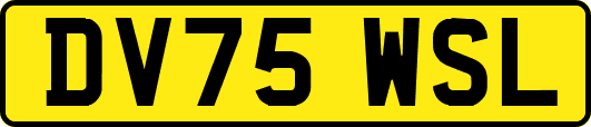 DV75WSL