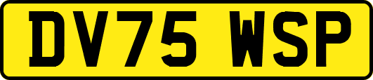 DV75WSP