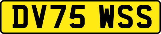 DV75WSS