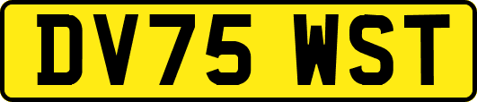 DV75WST