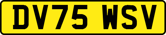 DV75WSV