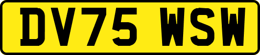 DV75WSW