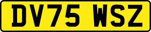 DV75WSZ
