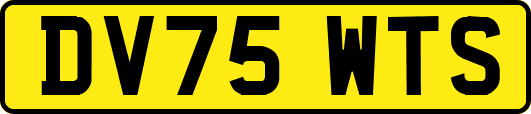 DV75WTS