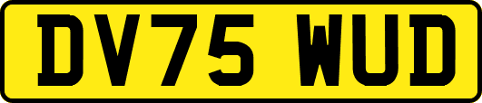 DV75WUD