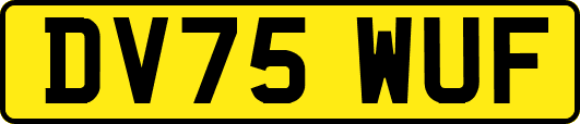 DV75WUF