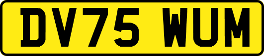 DV75WUM