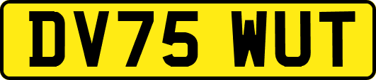 DV75WUT
